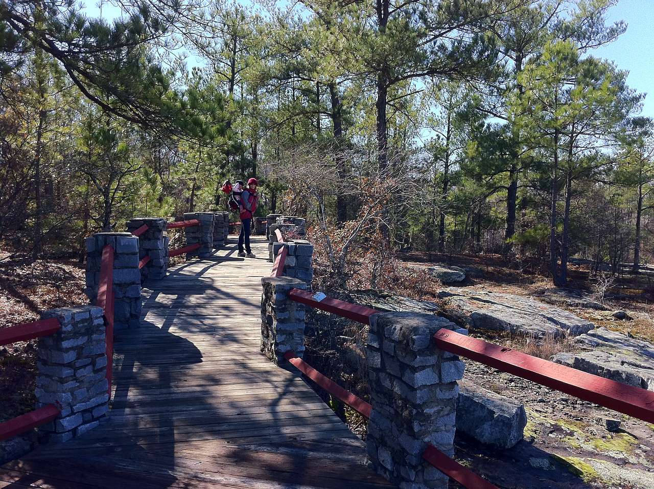 Panola Mountain State Park Campground