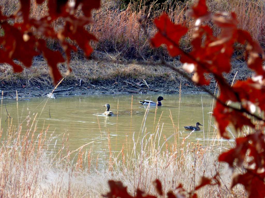 Arrowhead State Park