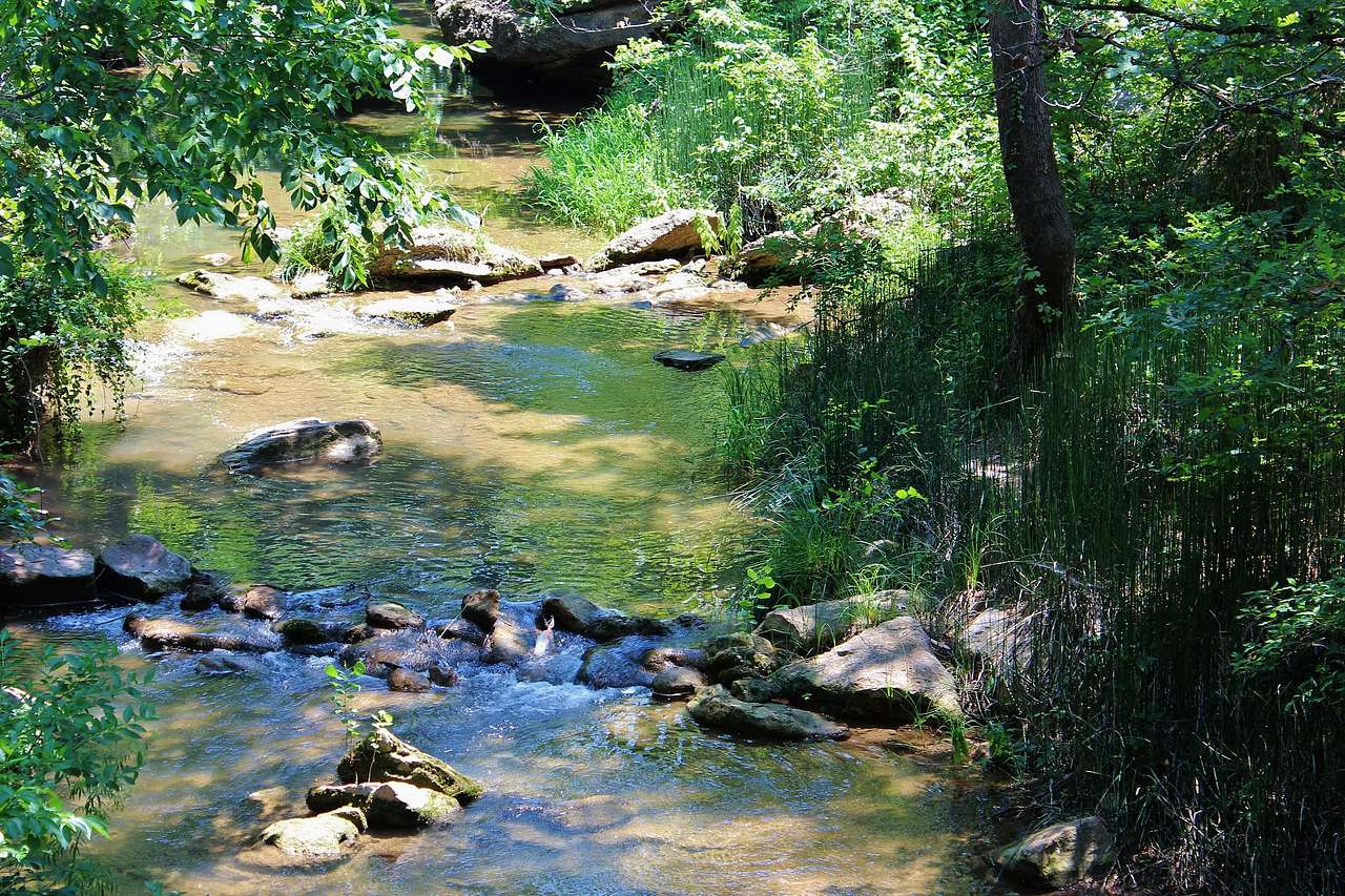 Cold Springs Group Camp