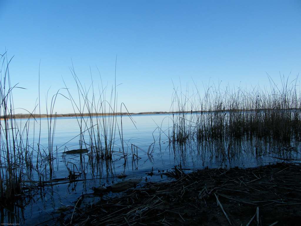 Martins Landing Campground