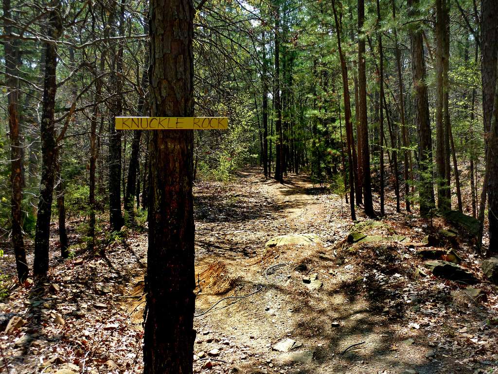 Talimena Campground