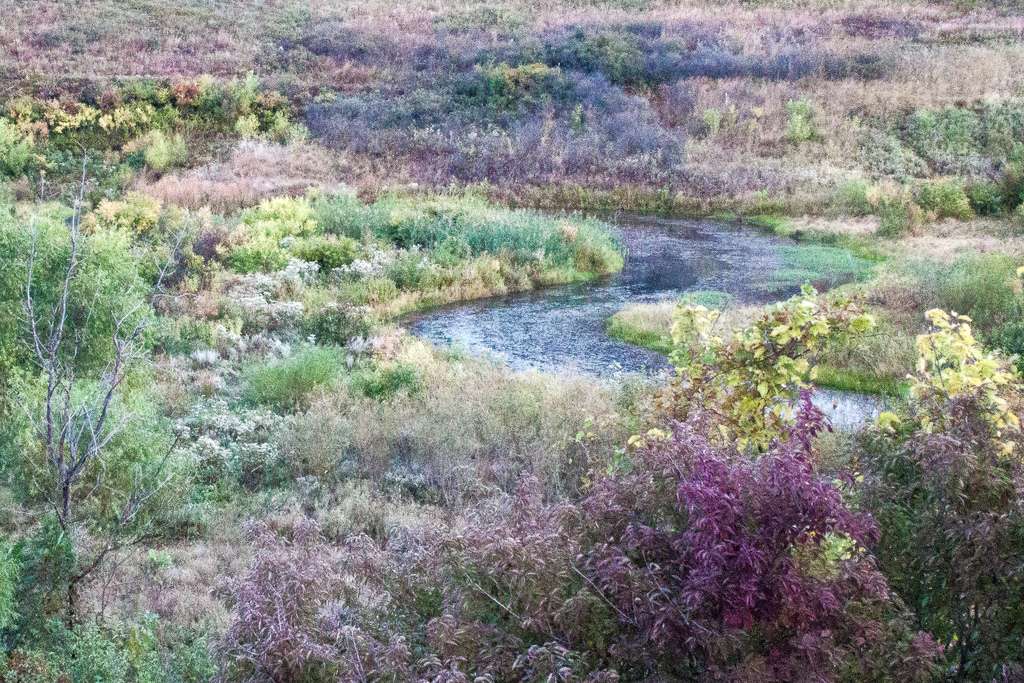 Little Bluestem Shelter