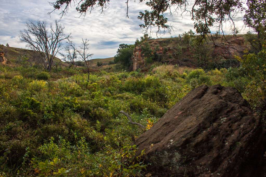 Rockin' K Horse Campground