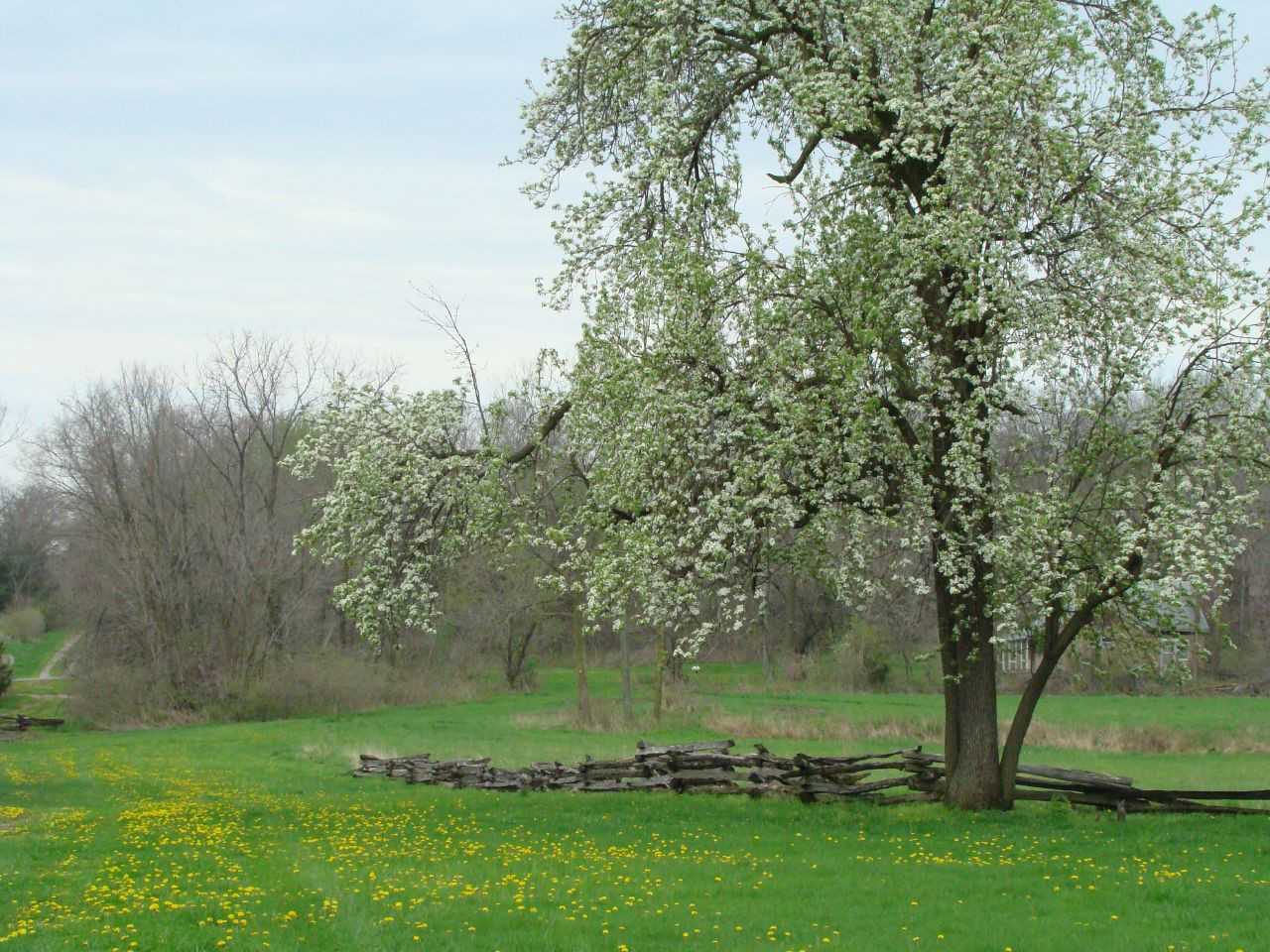 Battle of Athens State Historic Site