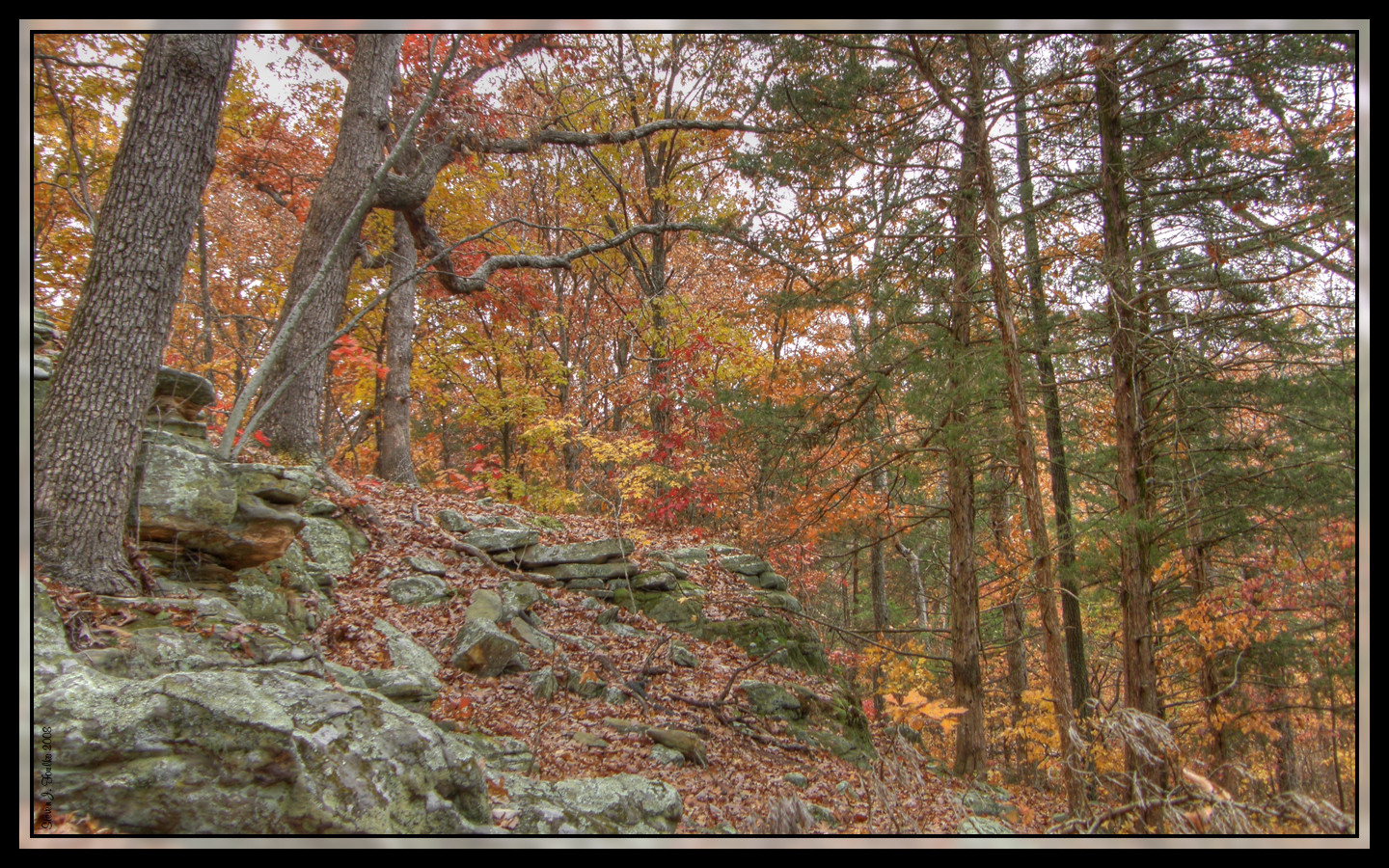 Graham Cave State Park