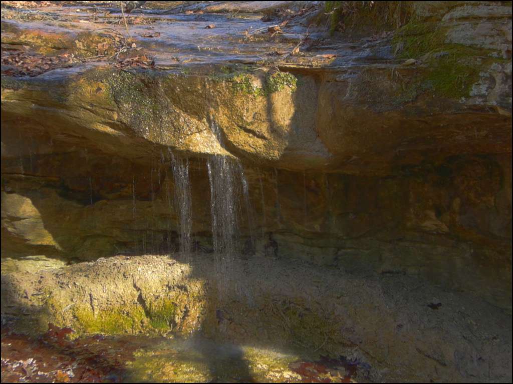 Graham Cave Campground