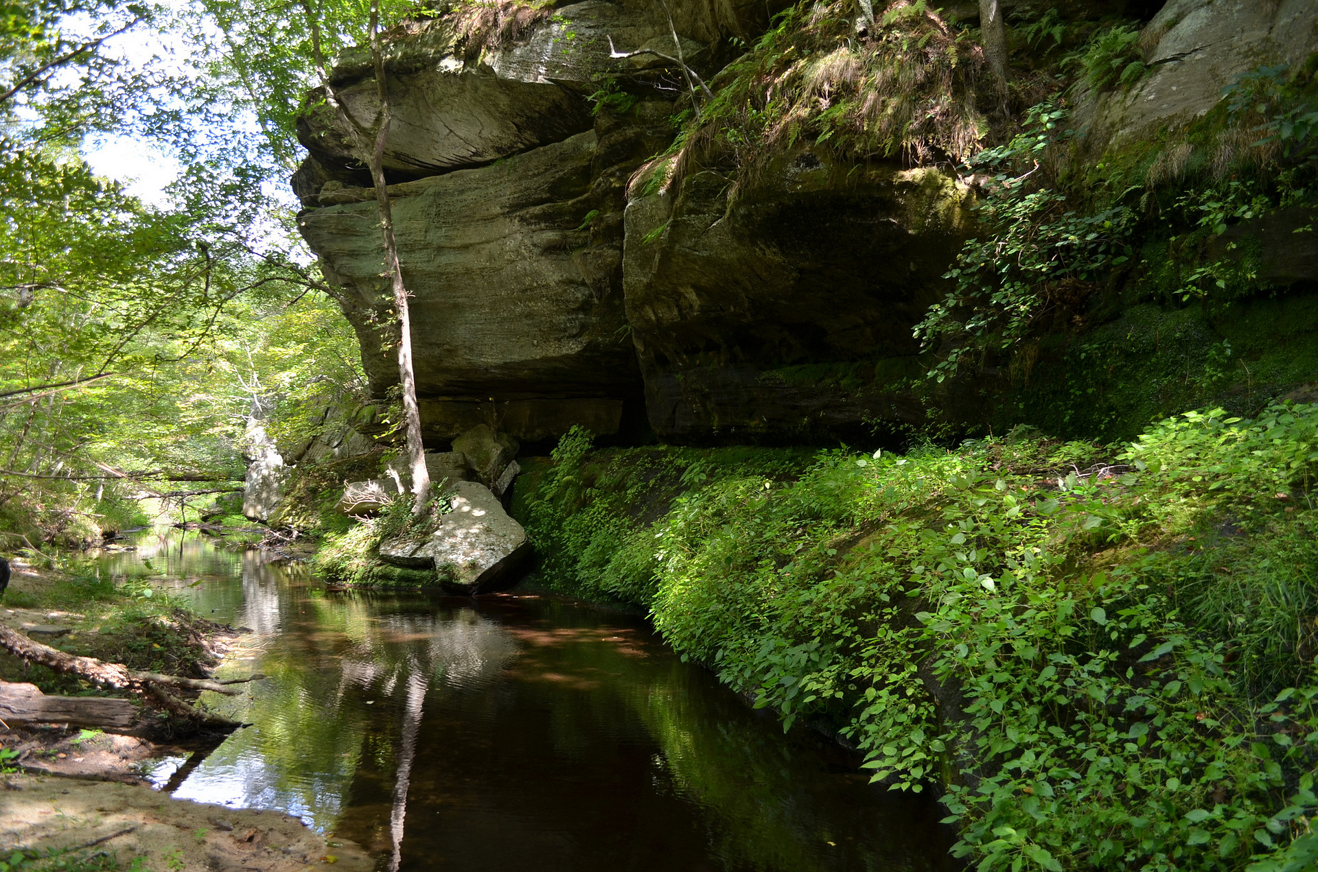 Hawn State Park