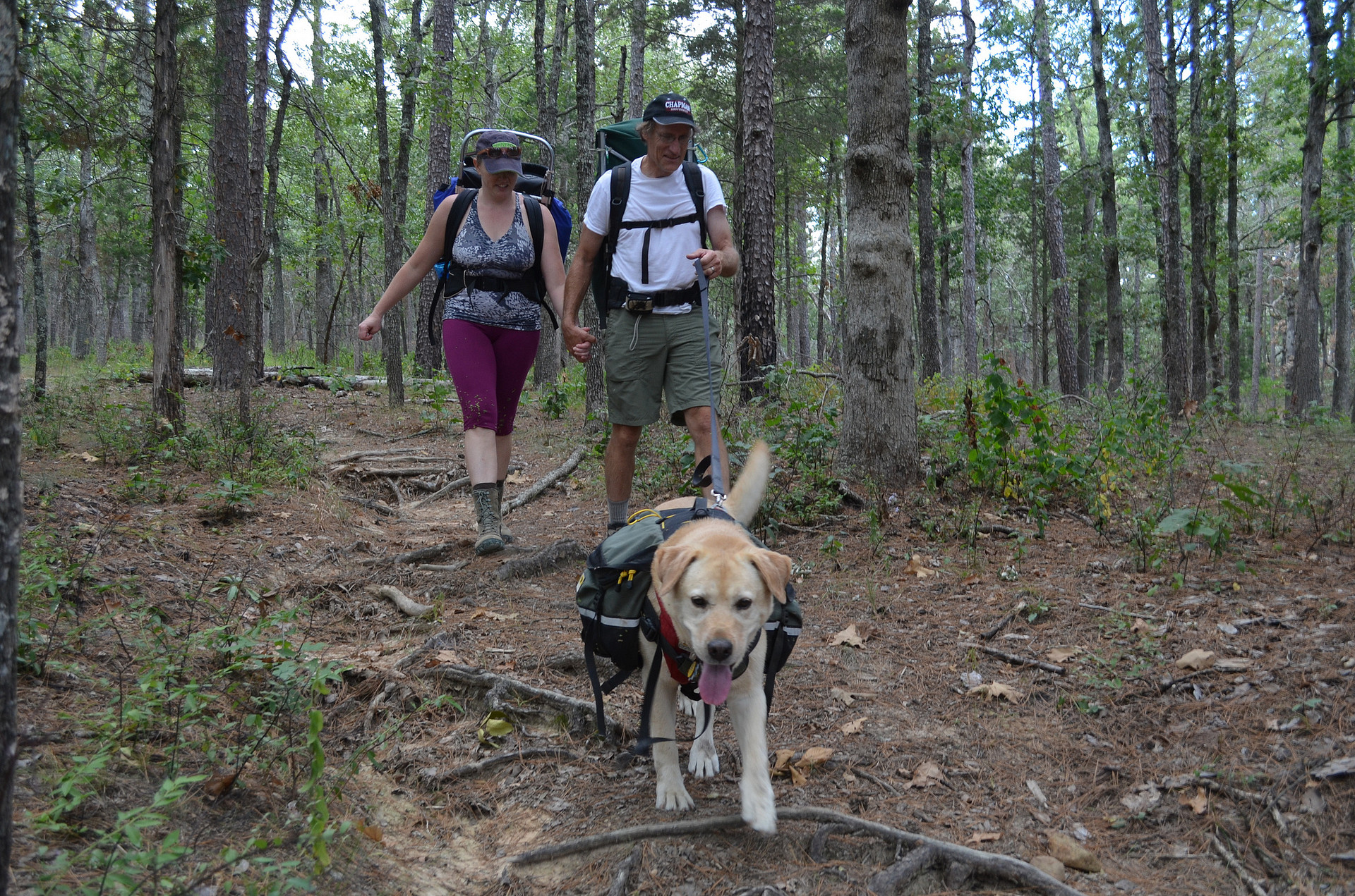 Hawn State Park