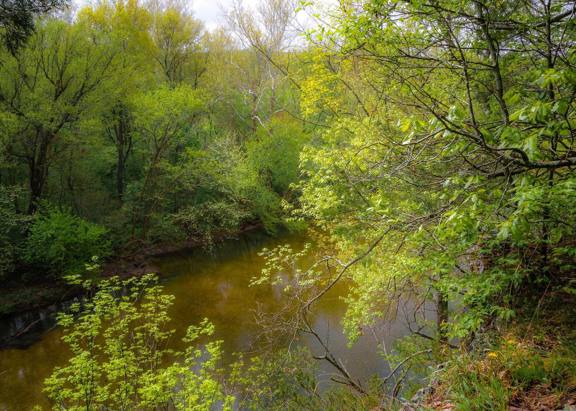 Onondaga Cave State Park