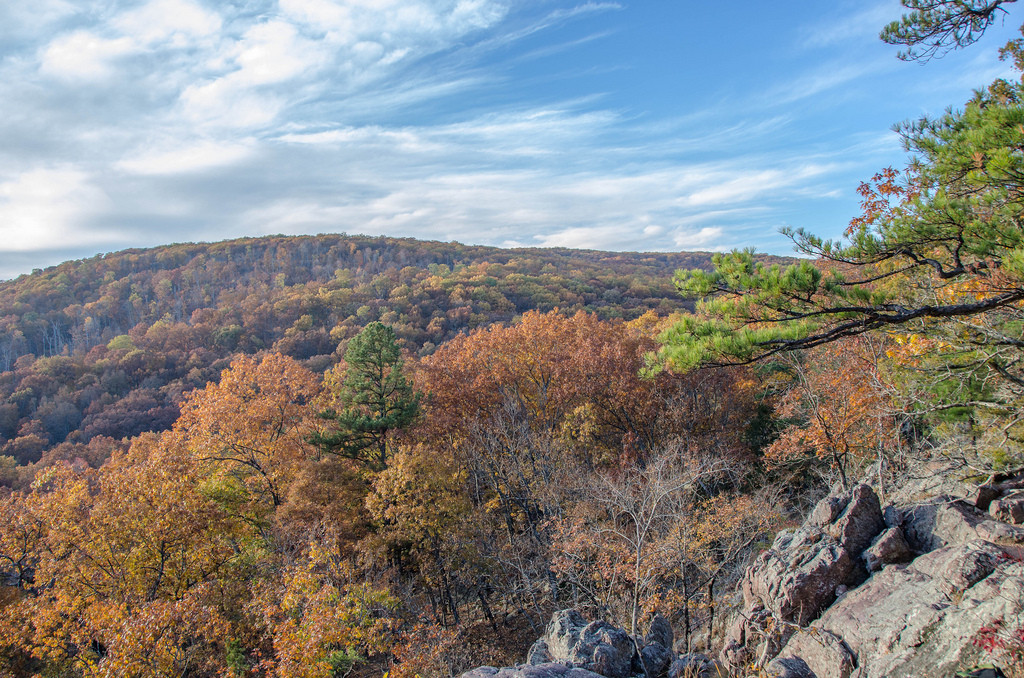 St. Francois State Park