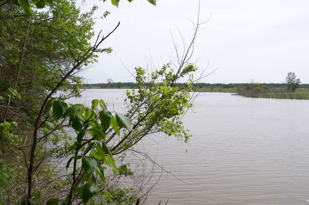 Wakonda Campground