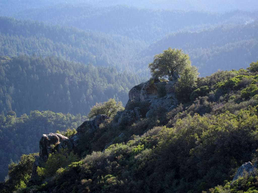 Castle Rocks State Park