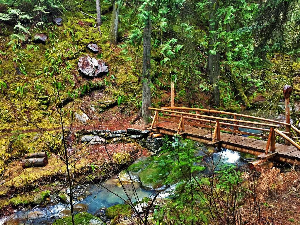 Dworshak State Park