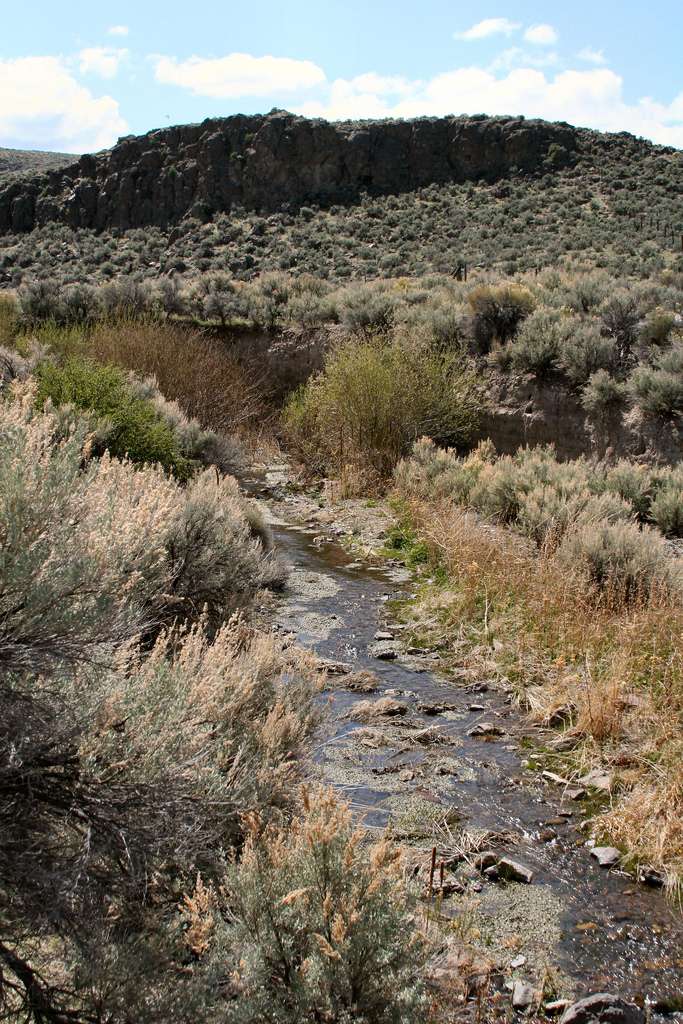 Owyhee Field Office