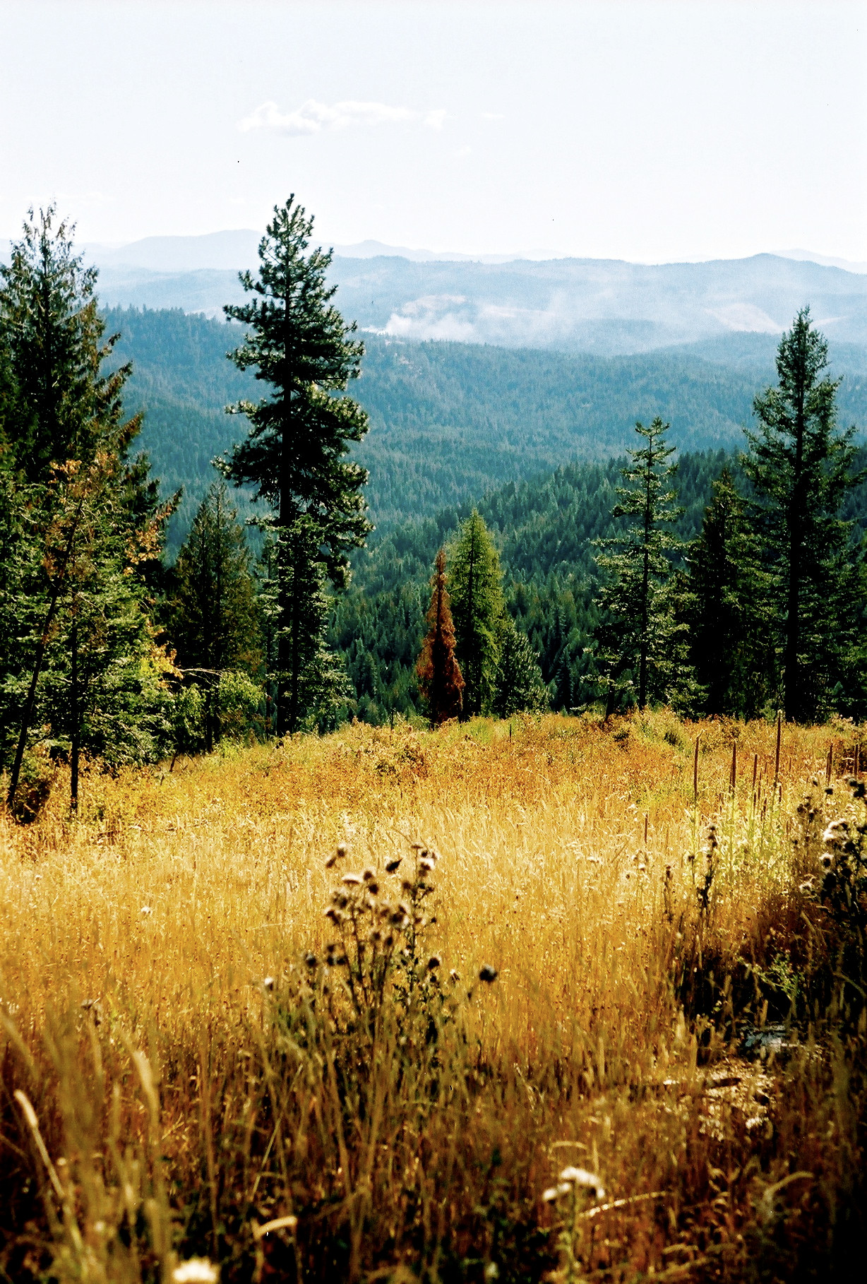 McCroskey State Park
