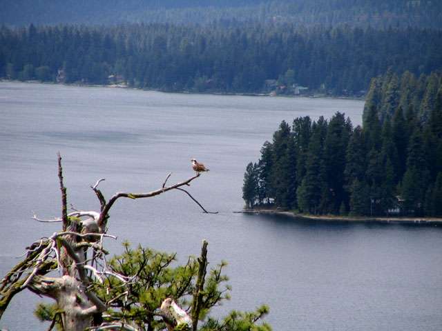 Ponderosa Campground