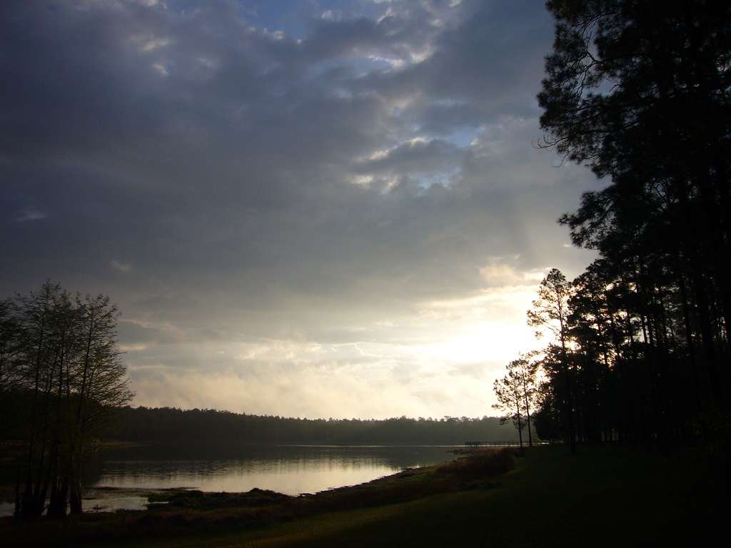 Conecuh National Forest
