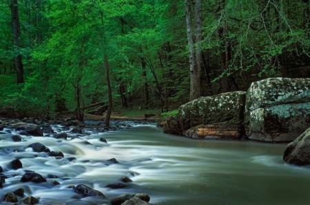 Buck's Pocket Campground
