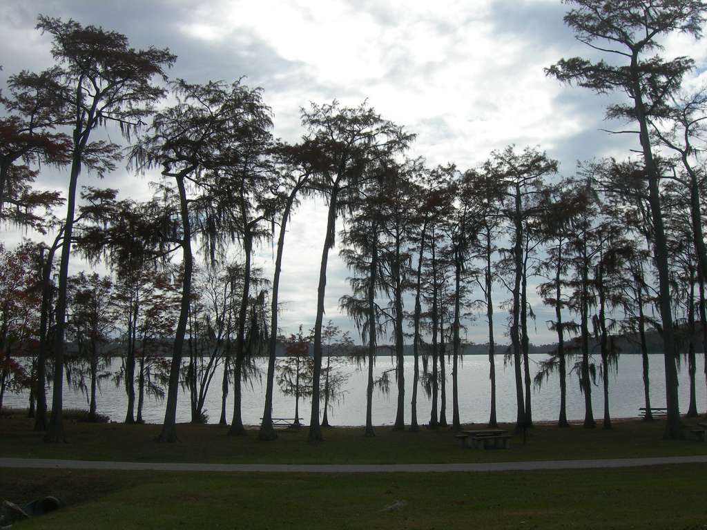 Florala State Park