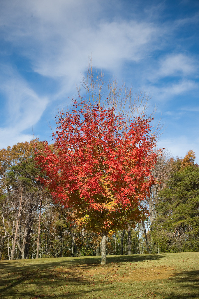 Lake Guntersville State Park