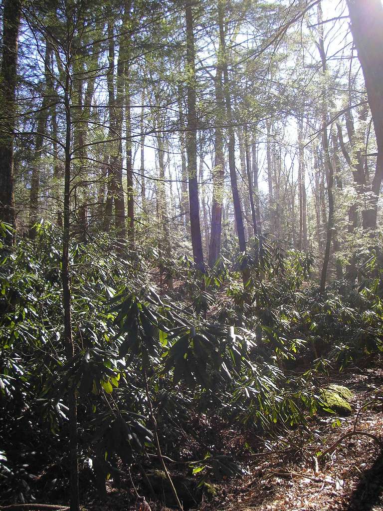 Audra Campground