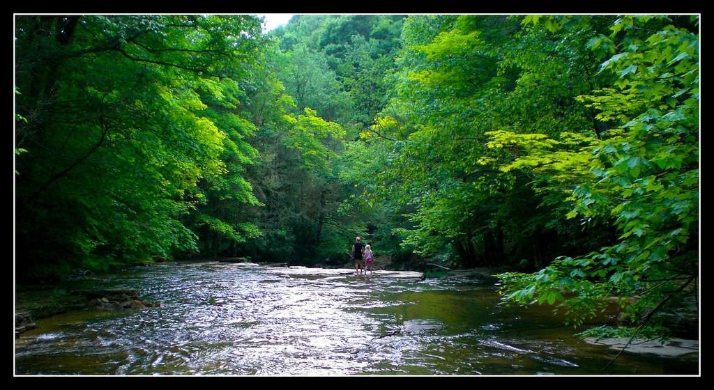 Mash Fork Campground