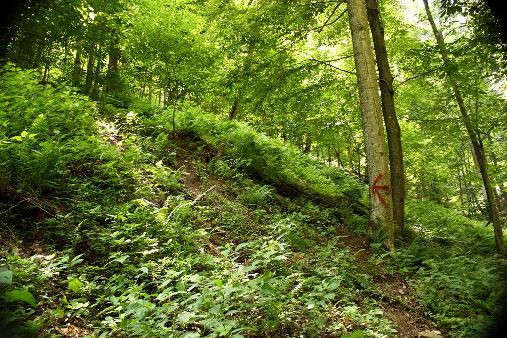 Cedar Creek State Park