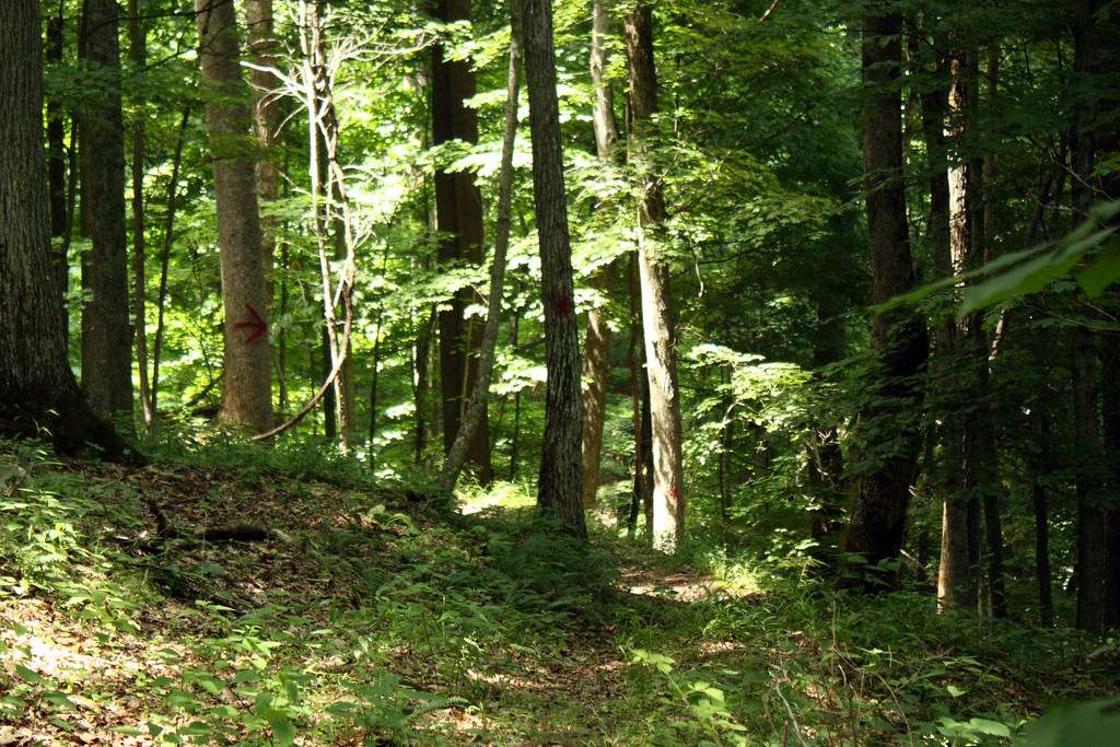 Cedar Creek State Park