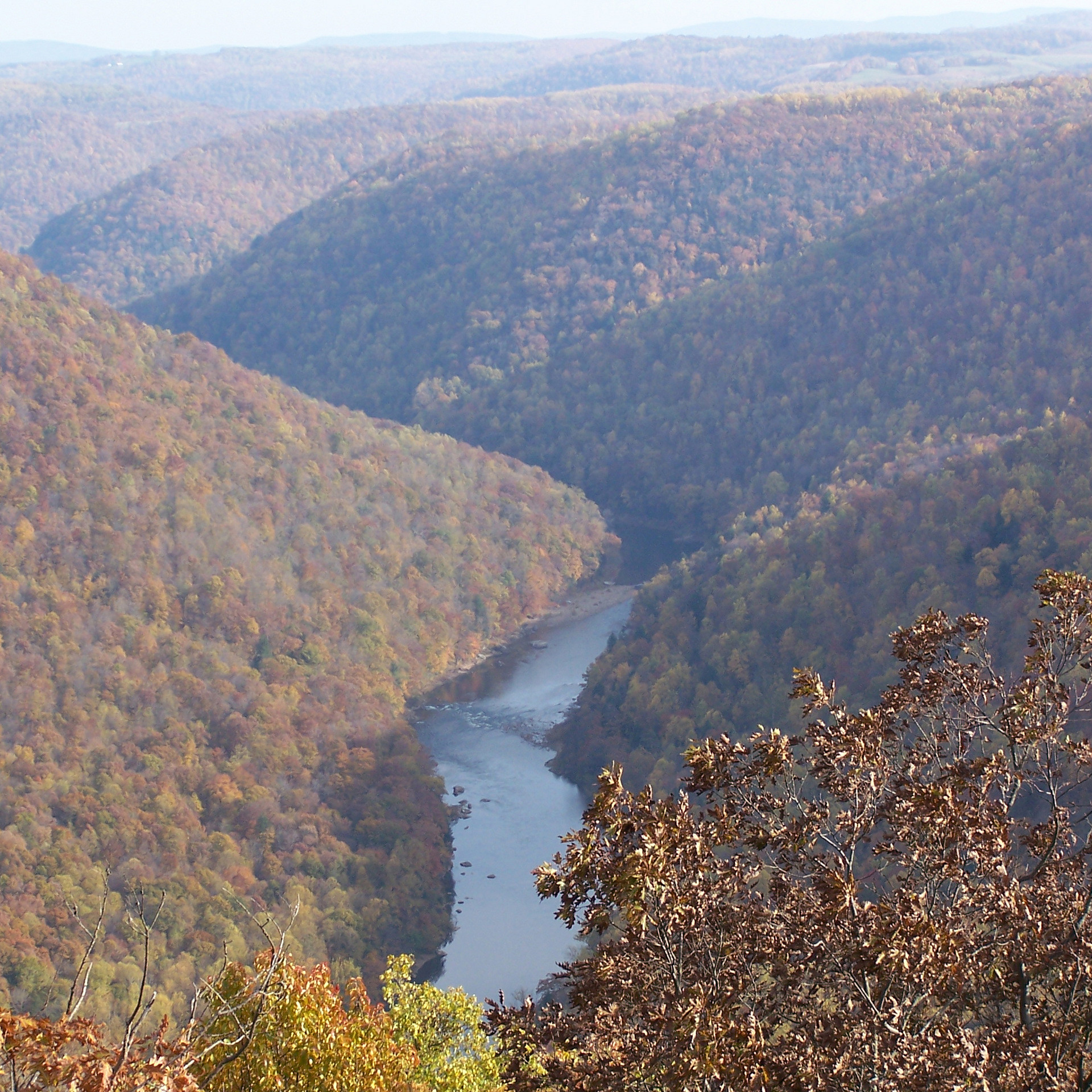Coopers Rock State Forest