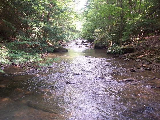 Holly River Campground