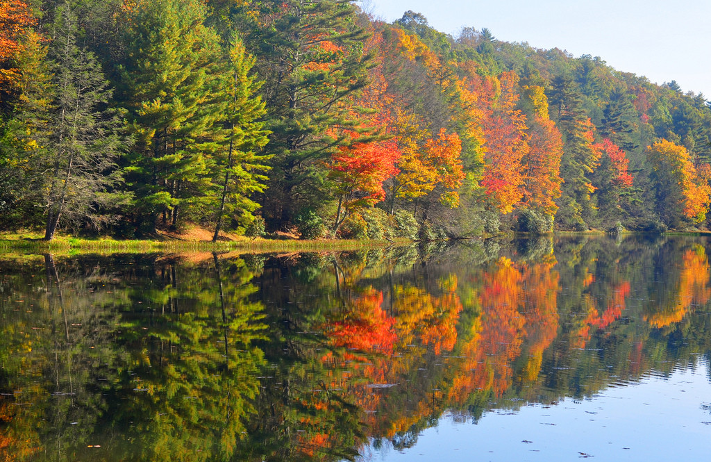 Seneca State Forest