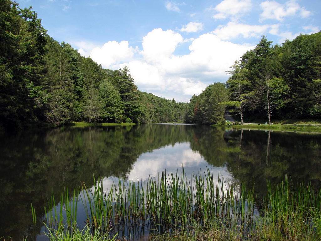 Seneca State Forest