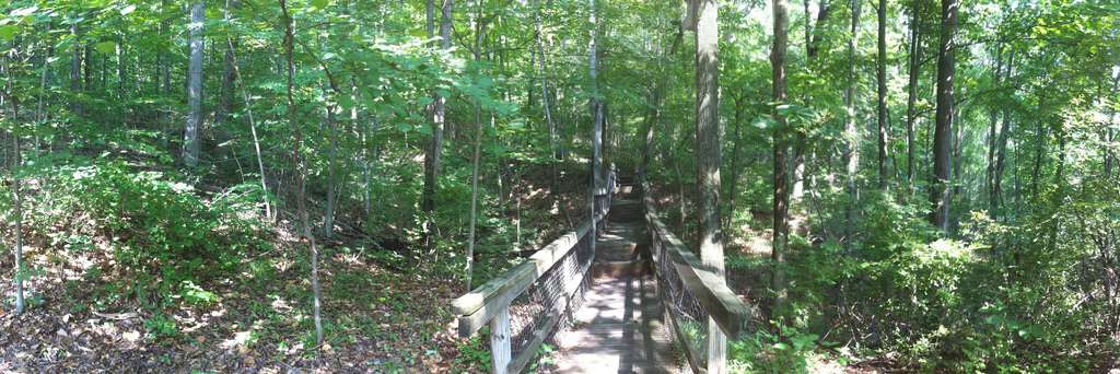 Tygart Lake Campground