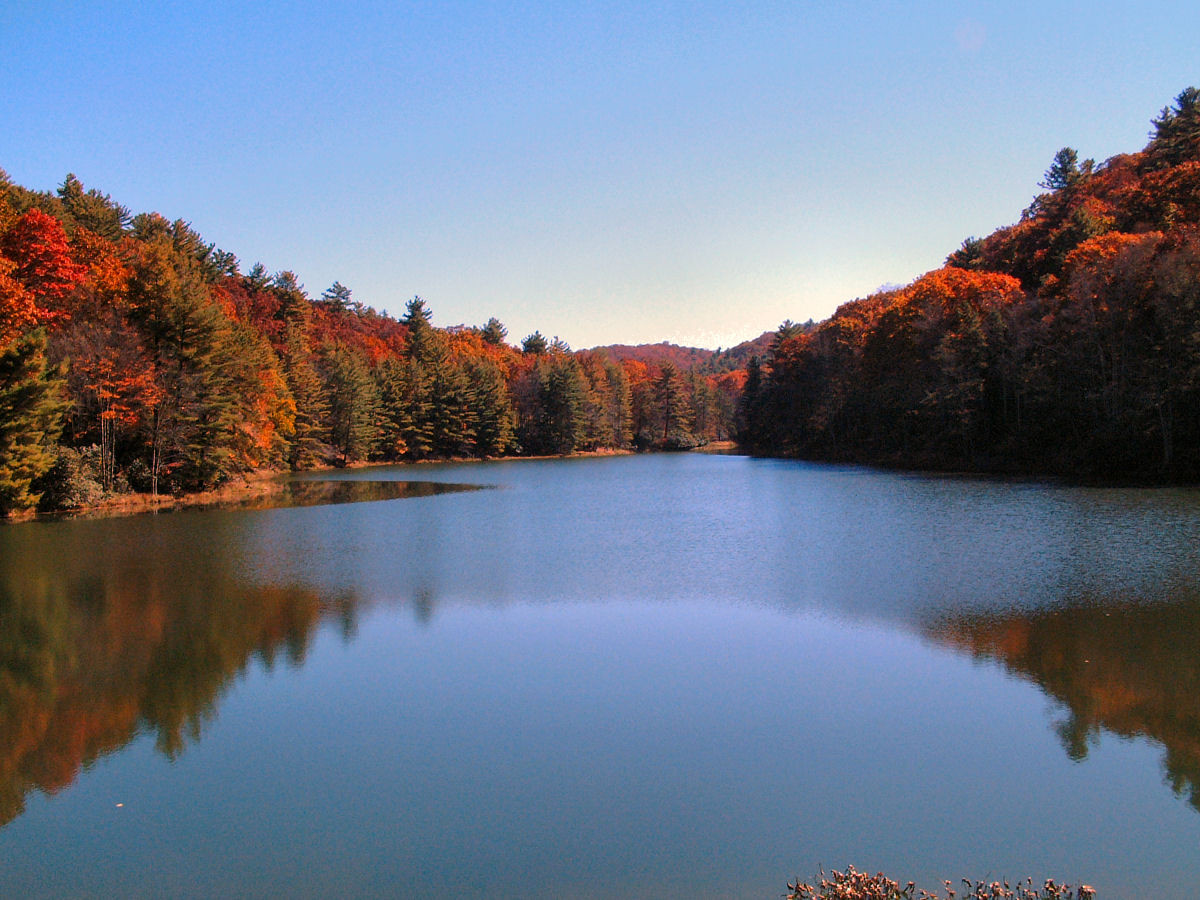 Watoga State Park