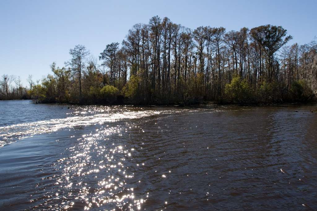 Bayou Segnette Campground
