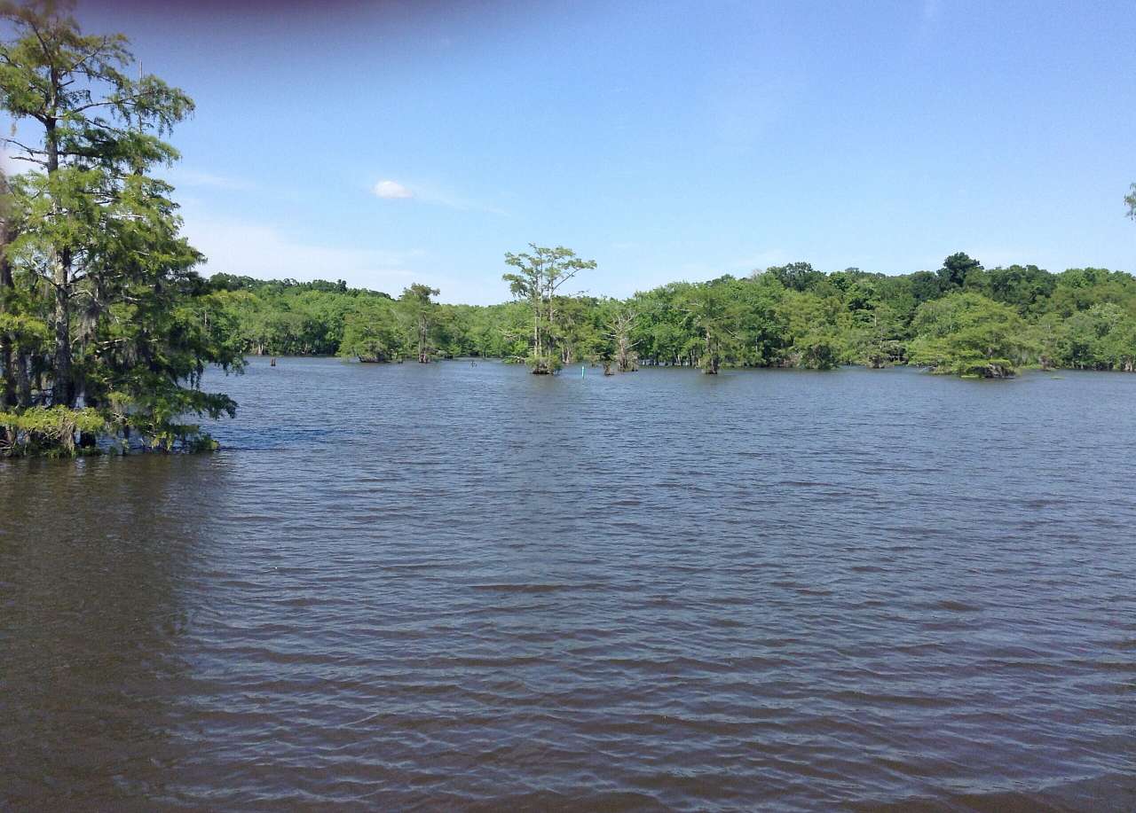 Chicot Campground