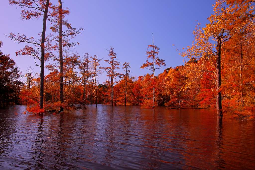 Ouachita-Black River - Columbia Pool