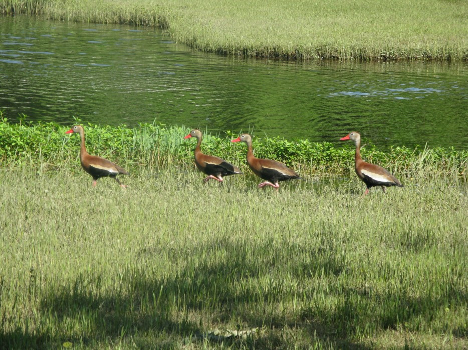 Fairview Riverside State Park