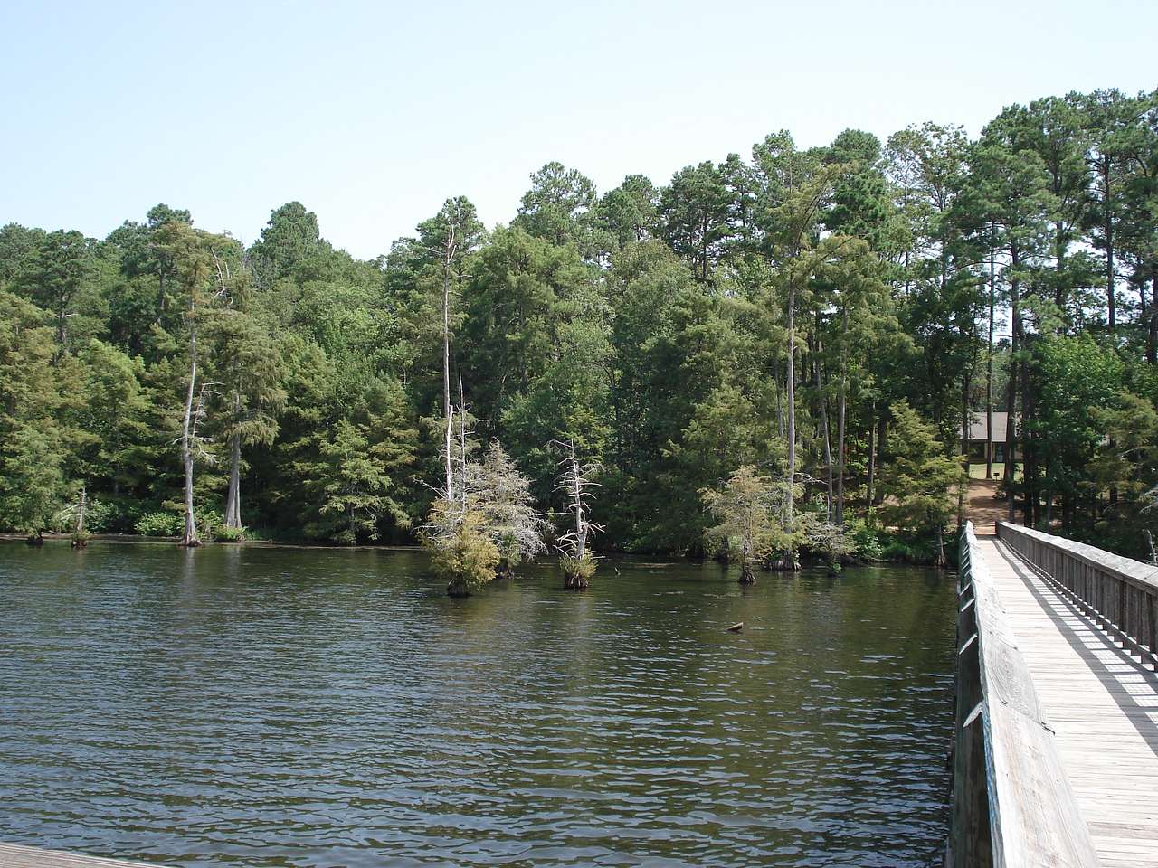 Lake D'Arbonne State Park