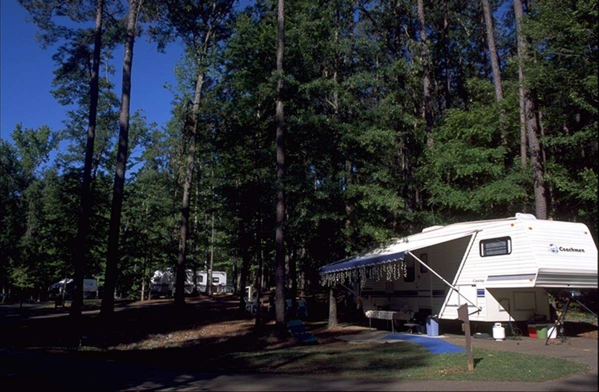 Lake D'Arbonne State Park