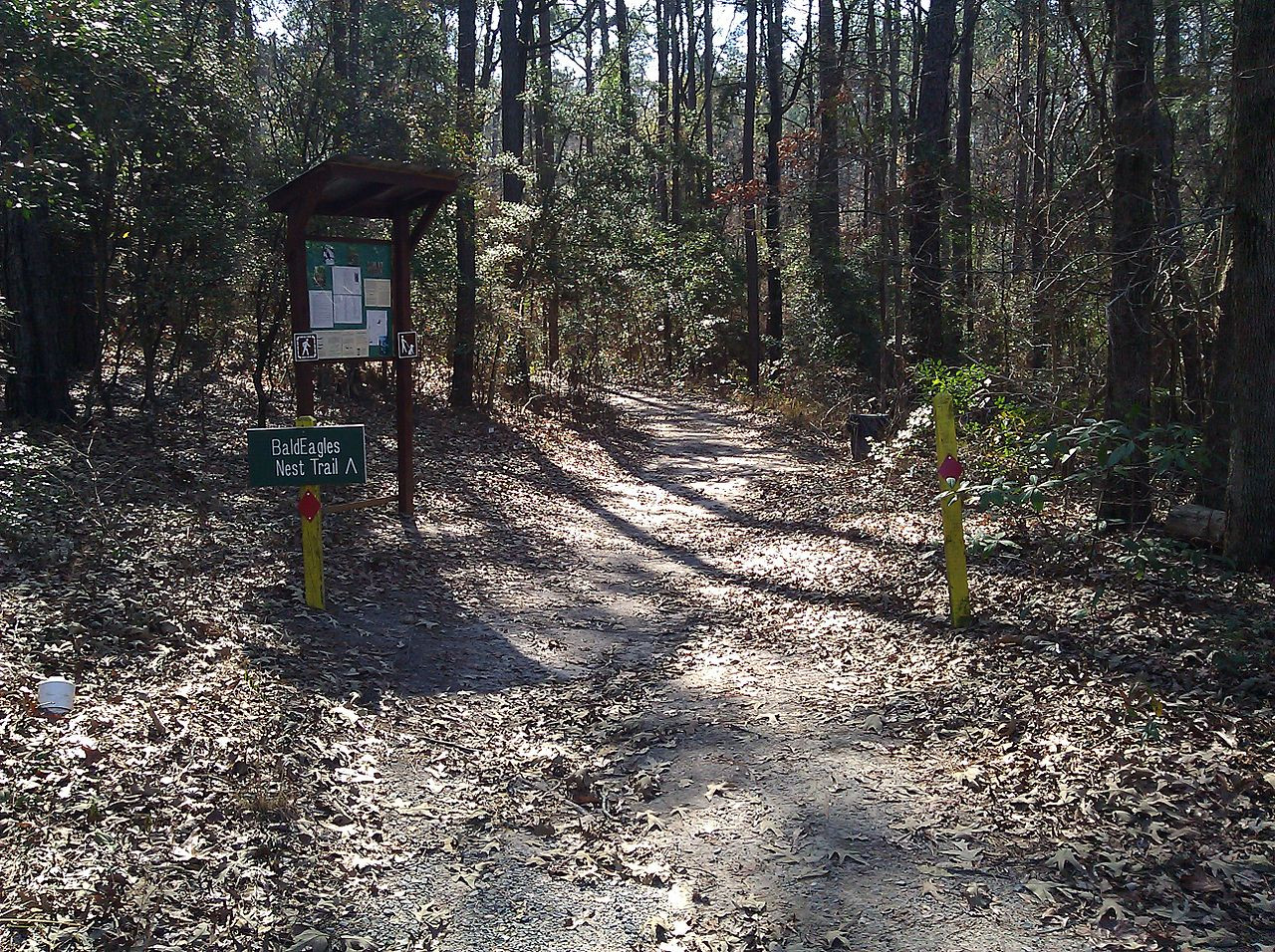 South Toledo Bend State Park