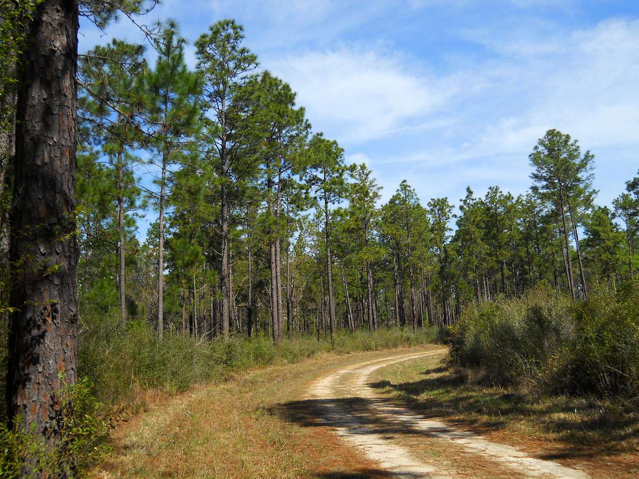 Fairley Bridge Landing Recreation Area