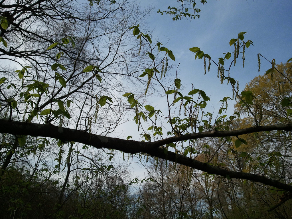 LeFleurs Bluff State Park