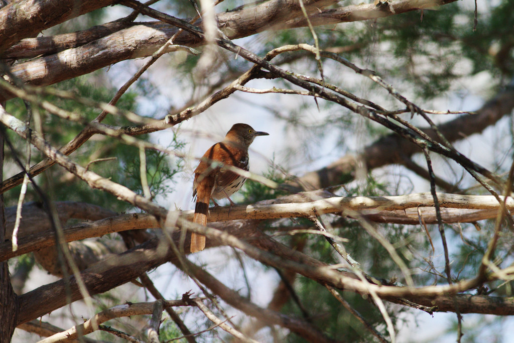 Tombigbee State Park