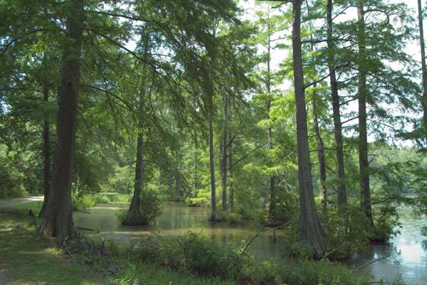 Wall Doxey Campground