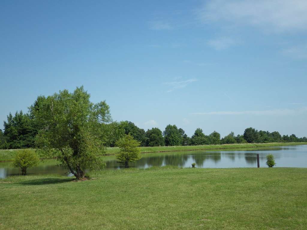 Crowley Ridge Campground