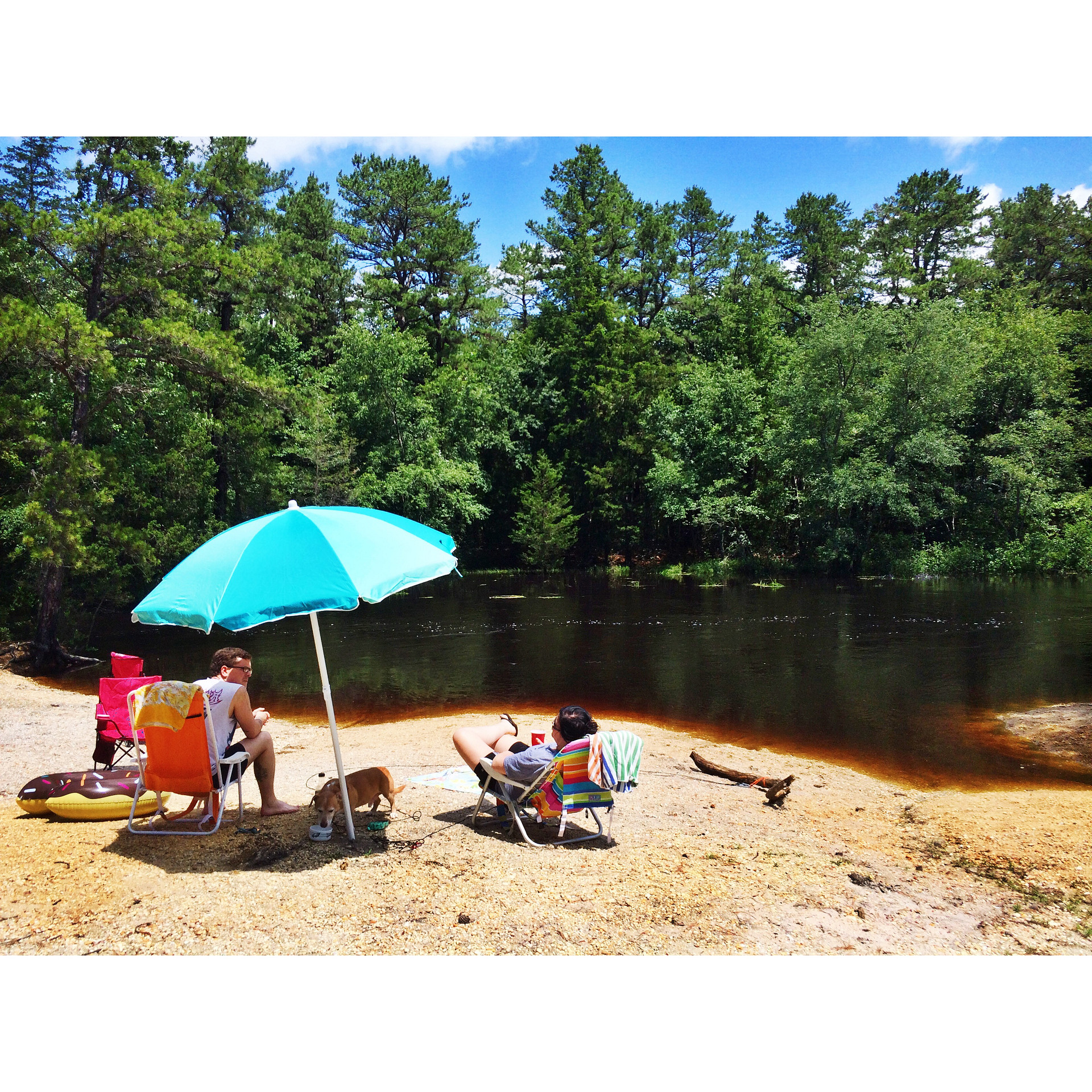 Wharton State Forest