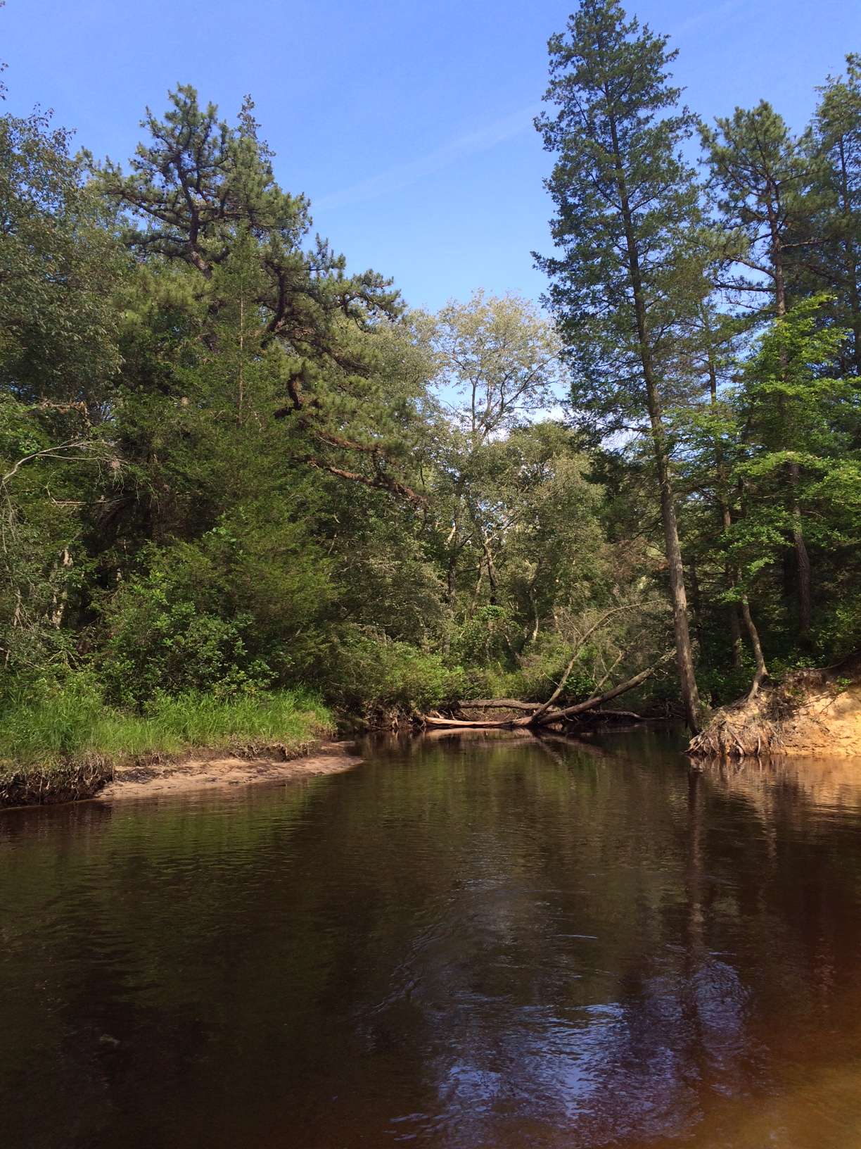 Batona Camping Area
