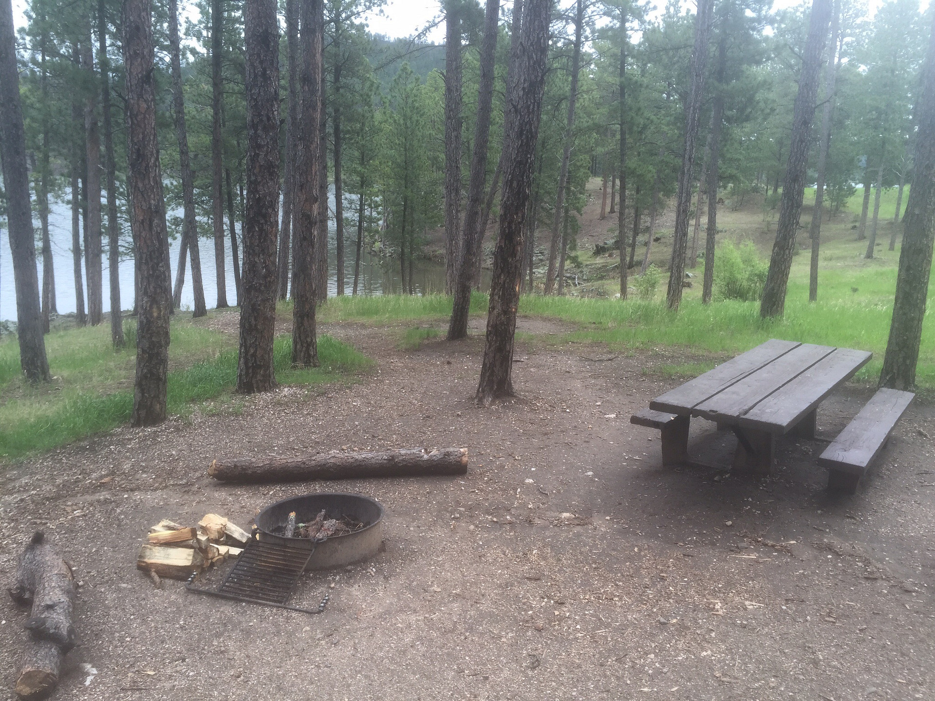 Black Hills National Forest