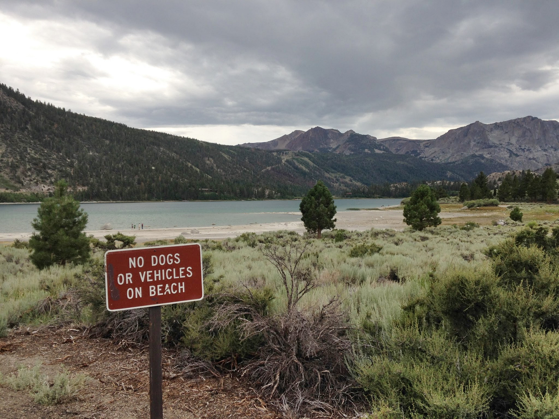 Inyo National Forest